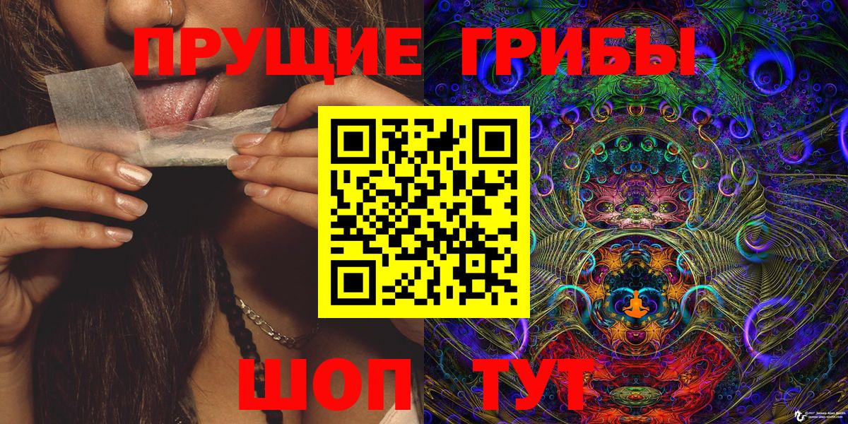 Псилоцибиновые грибы Cubensis Грязи